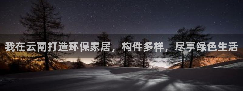 杏耀总代