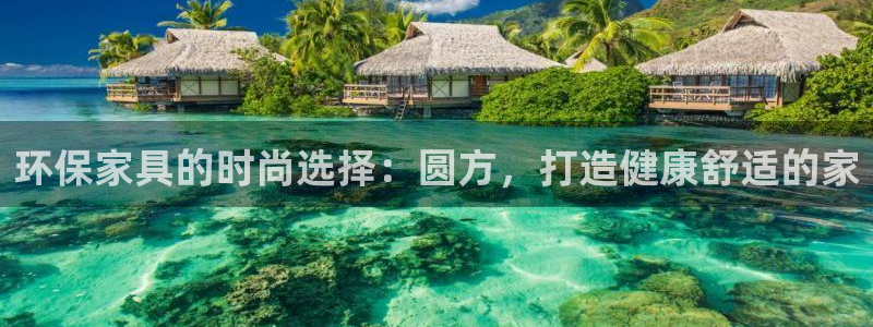 杏耀主管qq