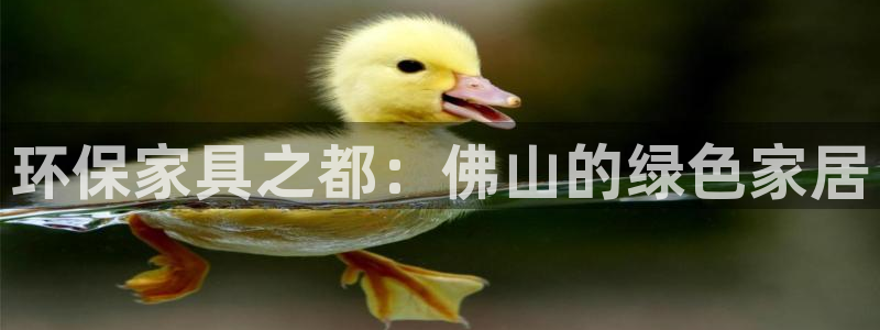 杏耀代理1980