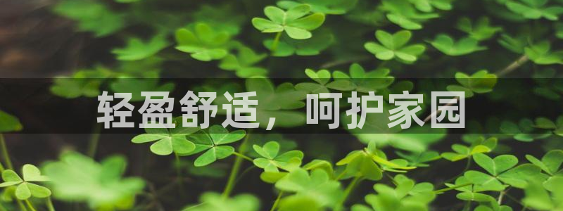 杏耀代理主管qq