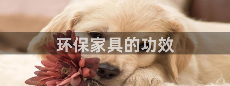 杏耀平台首页