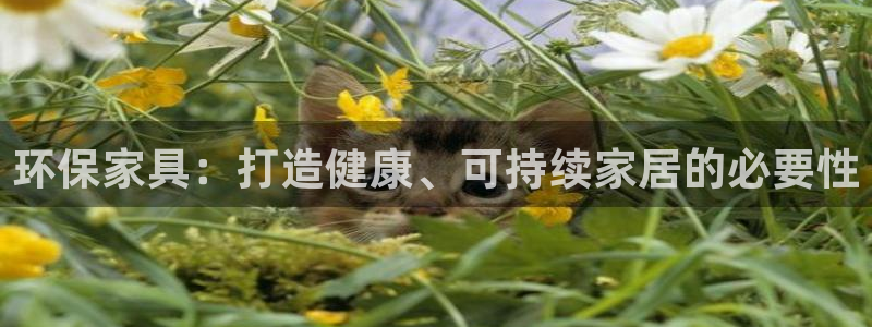 杏耀平台待遇