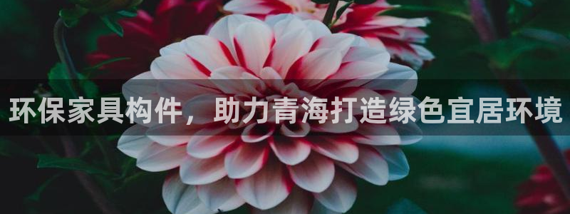 杏耀平台测速登陆
