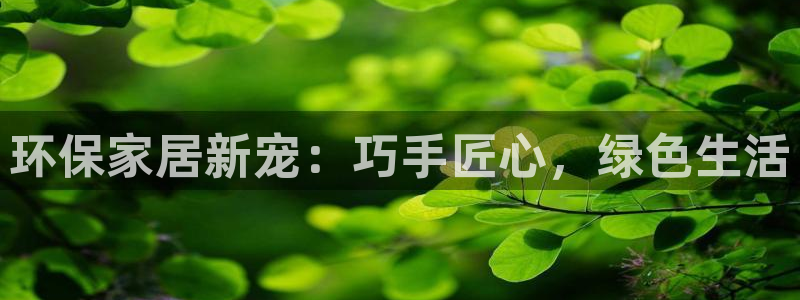 杏耀平台招商的流程