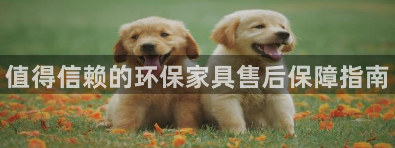 杏耀官方娱乐