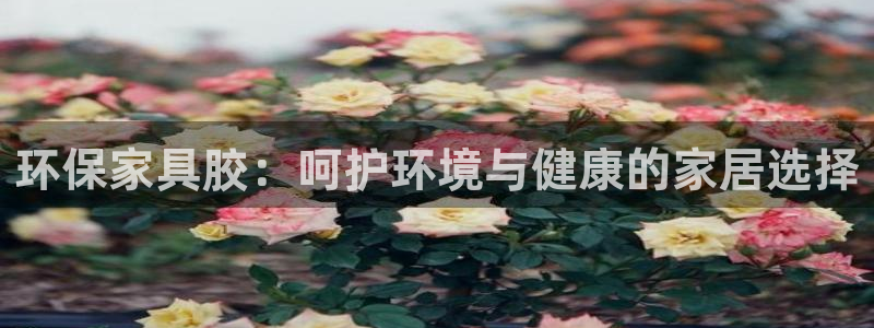 杏耀平台的专用通道