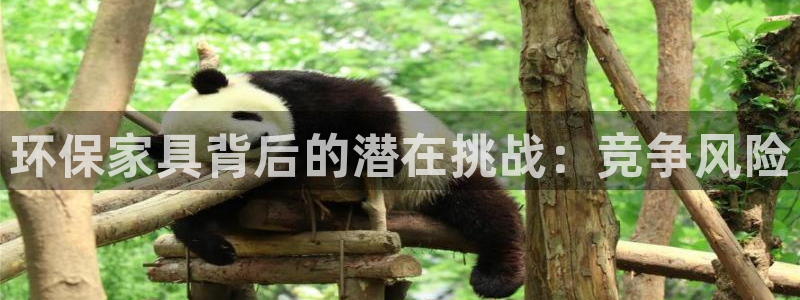 杏耀平台主管