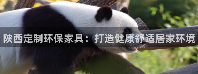 杏耀平台可以提款吗
