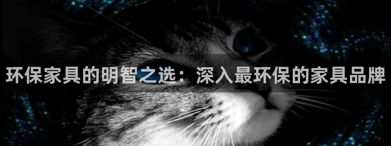 杏耀代理日工资多少