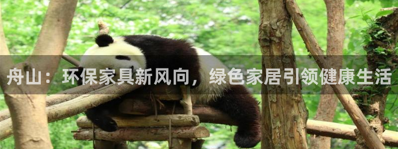 杏耀总代理
