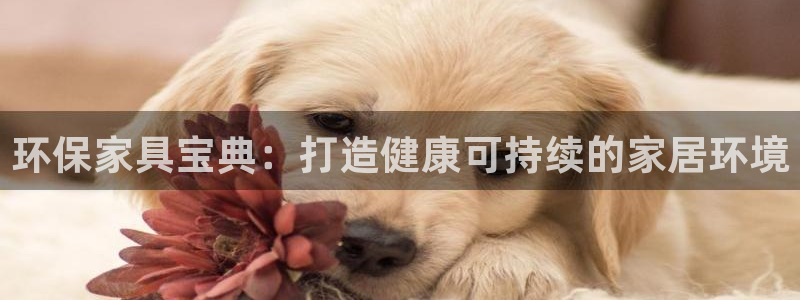 杏耀手机网页登录入口：环保家具宝典：打造健康可持续的家居环境