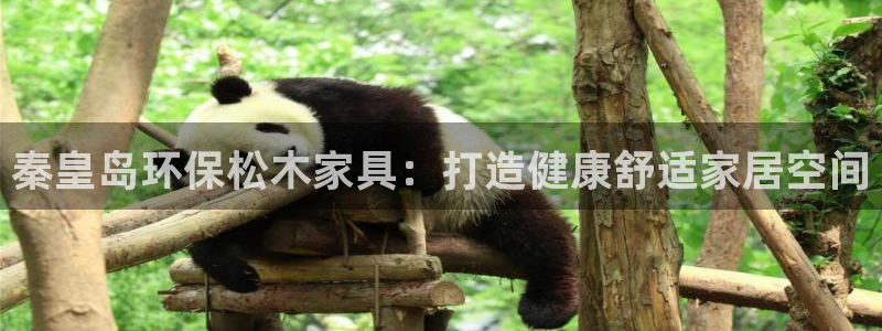 杏耀平台主管