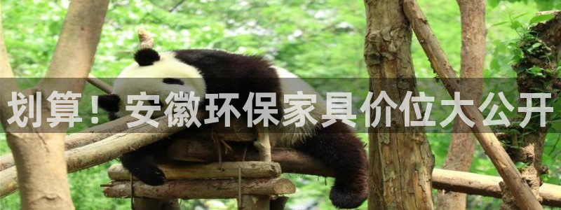 杏耀平台没有了：划算！安徽环保家具价位大公开