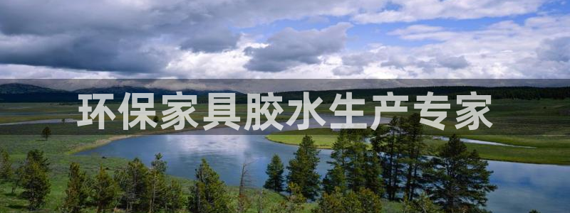 杏耀手机网页登录入口：环保家具胶水生产专家