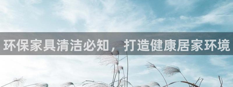 杏耀平台的专用通道