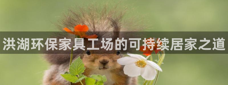 杏耀登陆线路