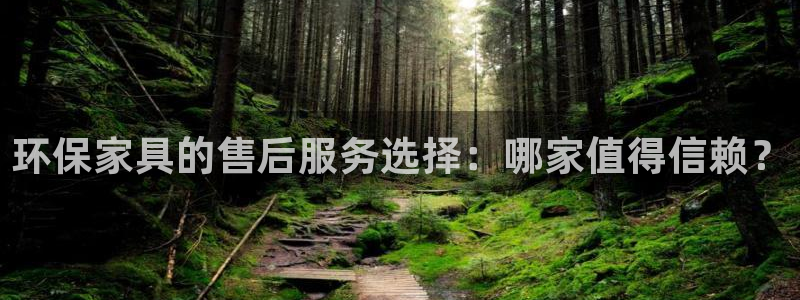 杏耀注册登录中心：环保家具的售后服务选择：哪家值得信赖？