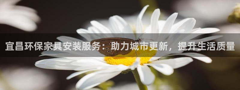 杏耀平台首页登录：宜昌环保家具安装服务：助力城市更新，提升生