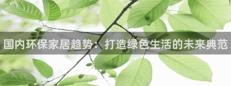 杏耀测速登录地址：国内环保家居趋势：打造绿色生活的未来典范