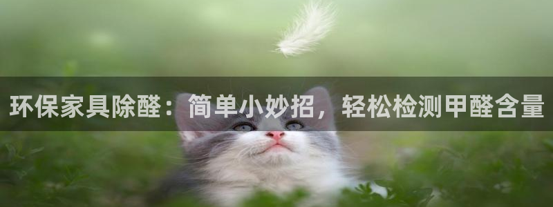 杏耀官网娱乐