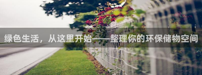 杏耀平台还在吗：绿色生活，从这里开始——整理你的环保储物空间