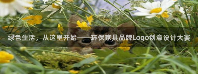 杏耀平台代理注册多少钱一年：绿色生活，从这里开始——环保家具
