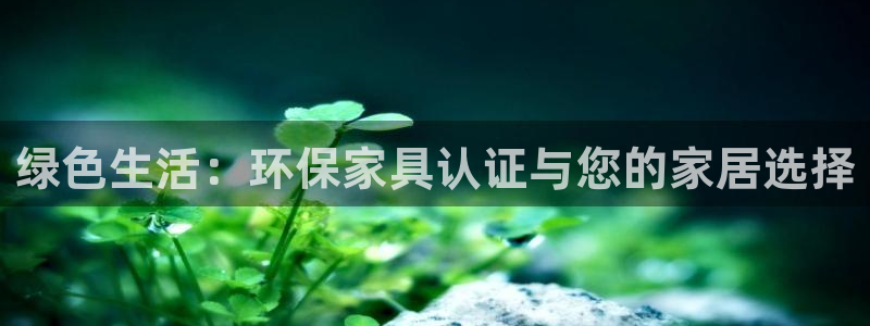 杏耀注册代理：绿色生活：环保家具认证与您的家居选择