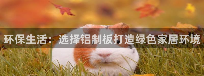 杏耀平台线路