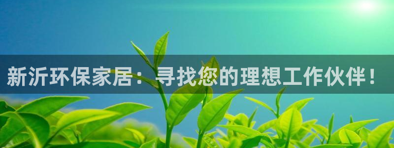杏耀平台代理登录网址查询：新沂环保家居：寻找您的理想工作伙伴