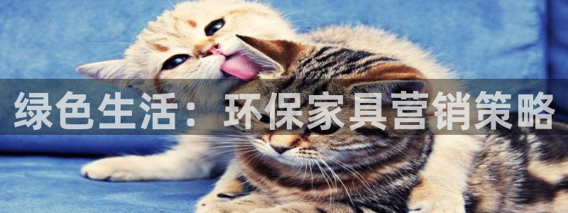 杏耀平台线路测速登录：绿色生活：环保家具营销策略