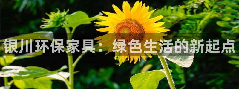 杏耀平台登录入口：银川环保家具：绿色生活的新起点
