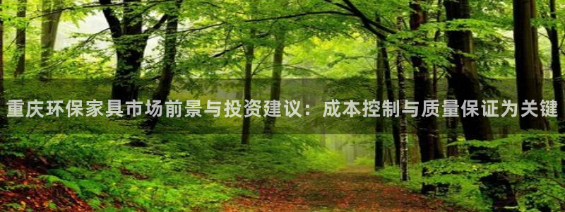 杏耀平台下载：重庆环保家具市场前景与投资建议：成本控制与质量