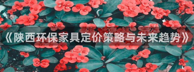 杏耀登录网页：《陕西环保家具定价策略与未来趋势》