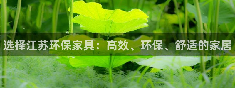 杏耀平台分红：选择江苏环保家具：高效、环保、舒适的家居