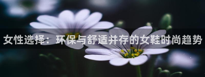 杏耀平台靠谱吗：女性选择：环保与舒适并存的女鞋时尚趋势