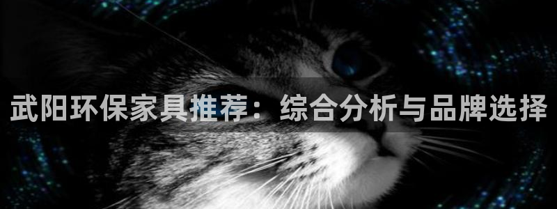 杏耀代理官网：武阳环保家具推荐：综合分析与品牌选择