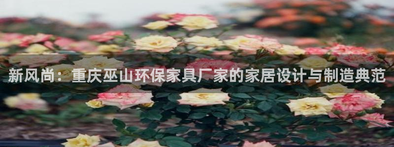 杏耀平台没有了：新风尚：重庆巫山环保家具厂家的家居设计与制造