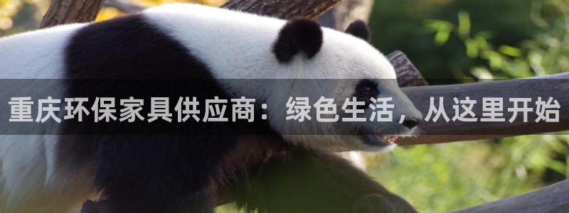 杏耀测速娱乐：重庆环保家具供应商：绿色生活，从这里开始