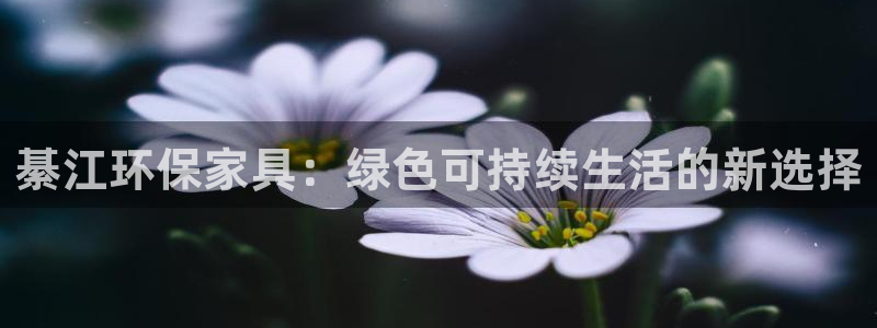 杏耀官方：綦江环保家具：绿色可持续生活的新选择