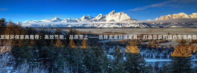 杏耀平台到底能玩吗：龙湖环保家具推荐：高效节能、品质至上——