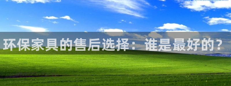 杏耀平台是真的吗：环保家具的售后选择：谁是最好的？