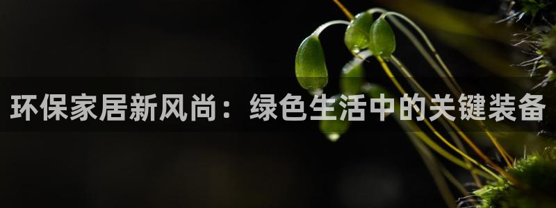 杏耀注册登入：环保家居新风尚：绿色生活中的关键装备