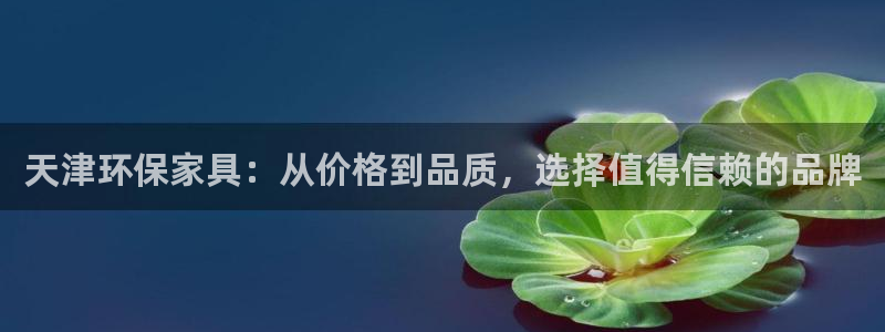 杏耀代理注册开户：天津环保家具：从价格到品质，选择值得信赖的