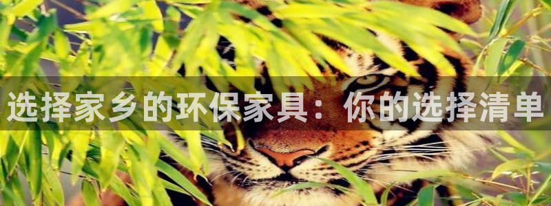 杏耀平台服务中心：选择家乡的环保家具：你的选择清单