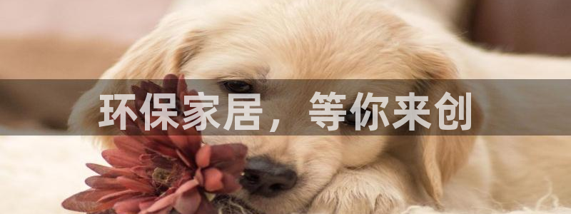 杏耀平台专用通道：环保家居，等你来创