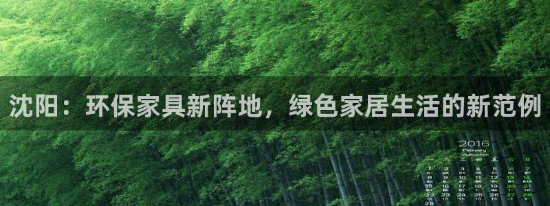 杏耀手机网页登录入口：沈阳：环保家具新阵地，绿色家居生活的新