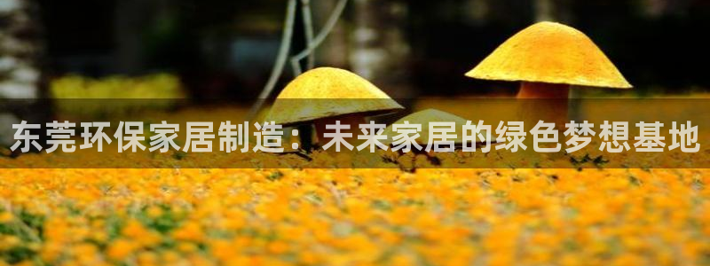 杏耀平台官方网站下载：东莞环保家居制造：未来家居的绿色梦想基