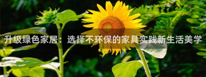 杏耀登录测速：升级绿色家居：选择不环保的家具实践新生活美学