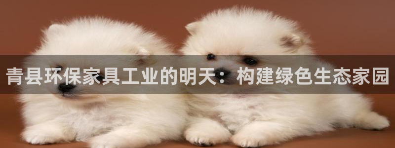 杏耀平台官方网站：青县环保家具工业的明天：构建绿色生态家园